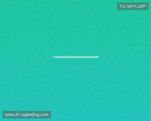 PG娱乐在线官网专业技术保障，确保玩家账号安全与游戏环境公平公正值得信赖